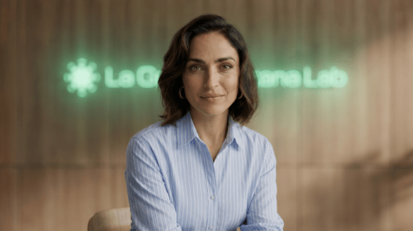 ecommerce propio y Amazon